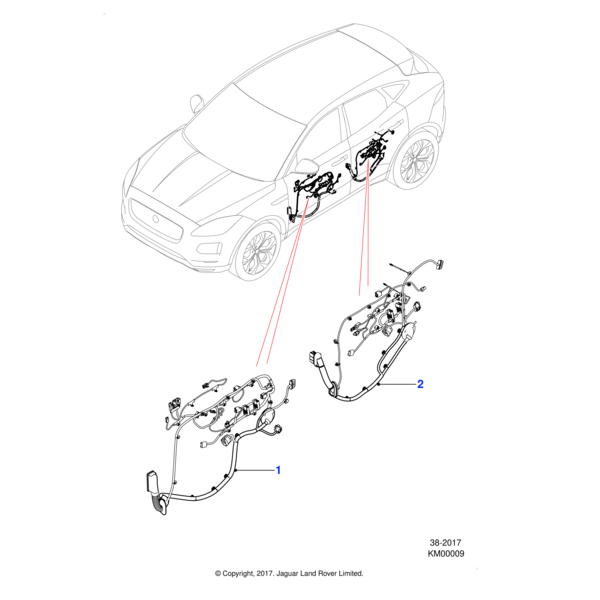 J9C21735 - Jaguar Passenger door harness